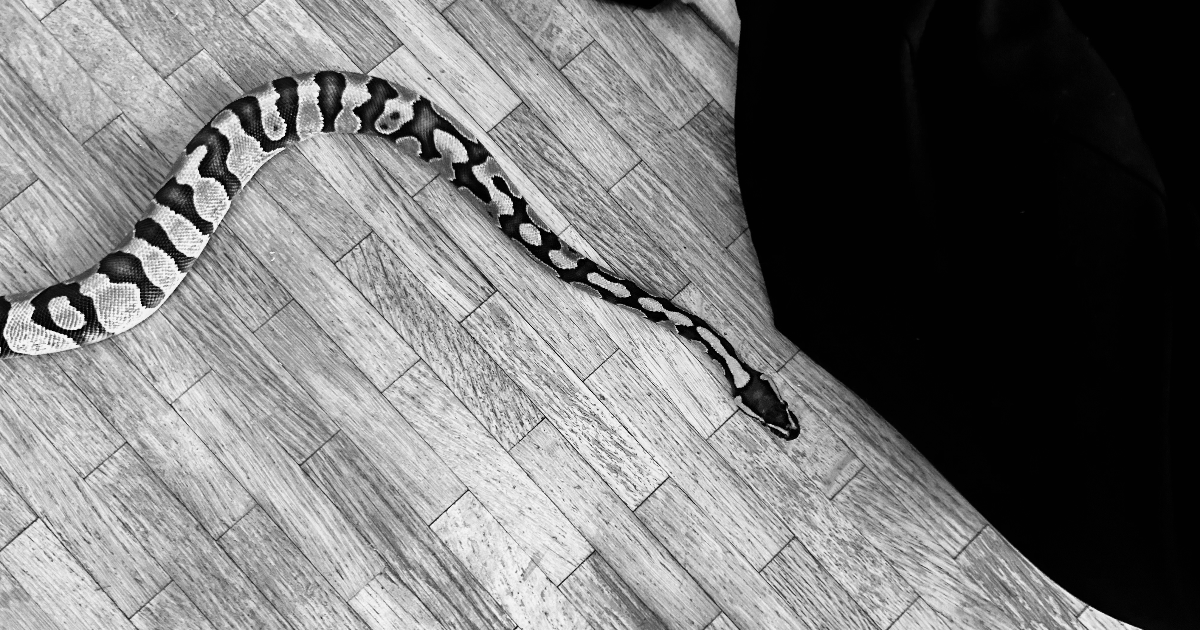 Nagini