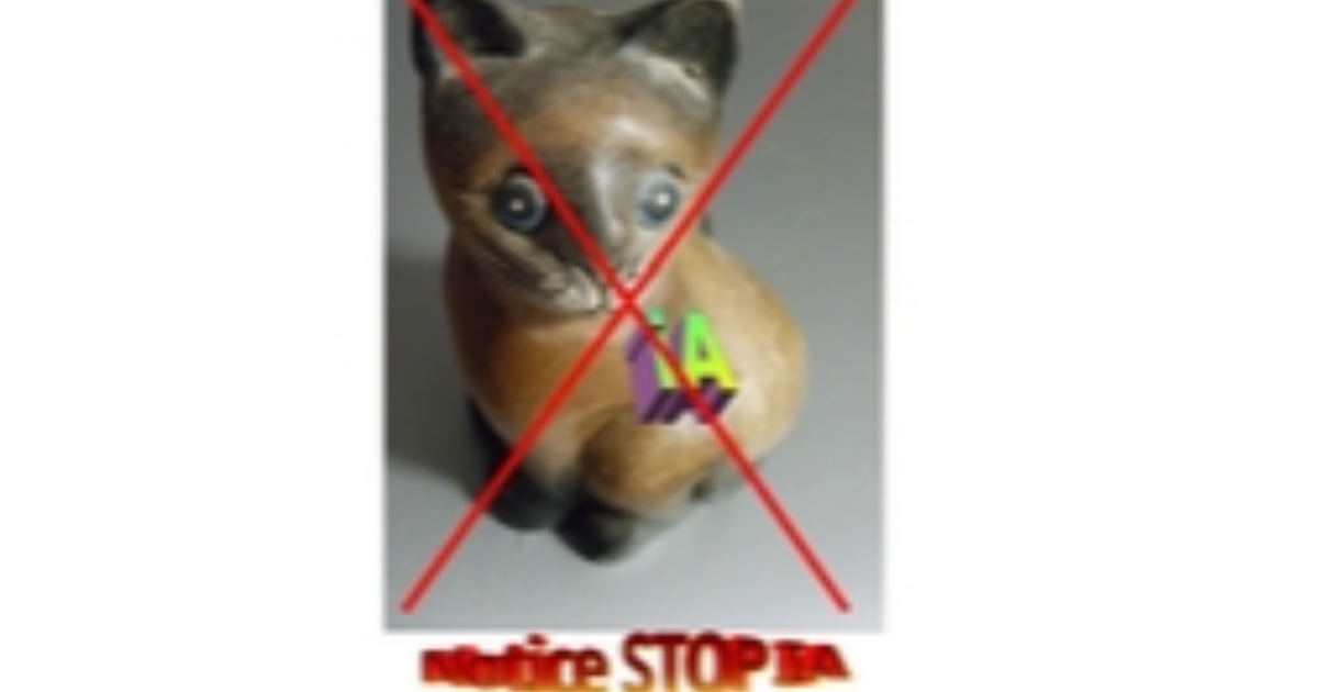 Application et promotion de la NOTICE STOP IA