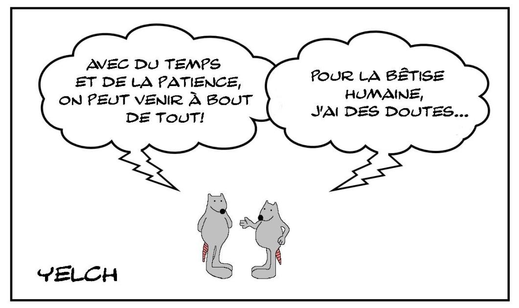 La bêtise et le temps