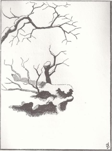 La neige