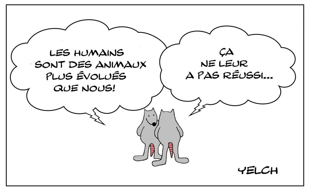 Humains évolués (?) 