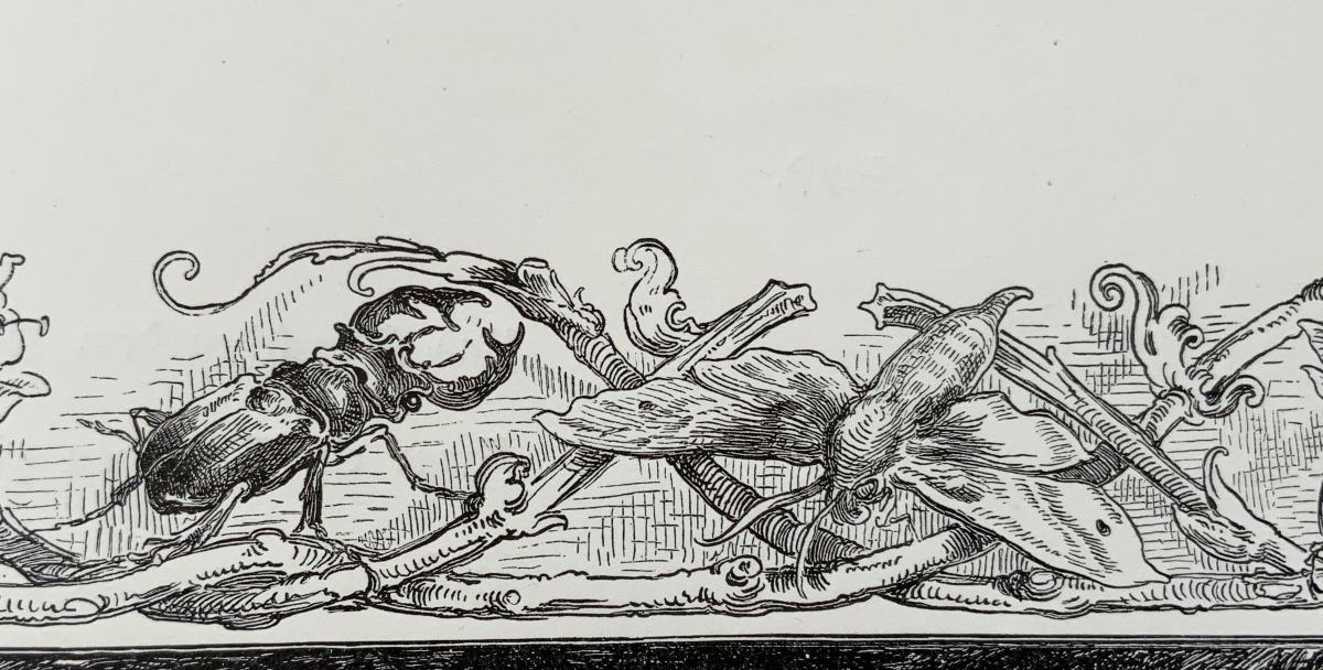 Le jardin du 25 Août 
