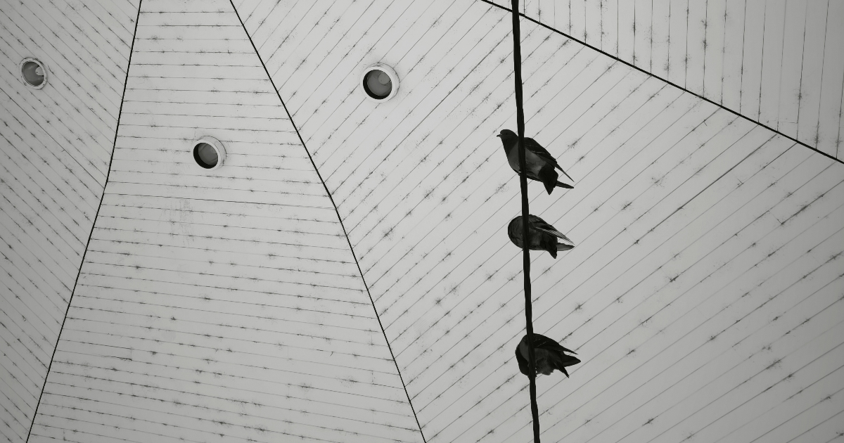 Mémoire des Chutes
