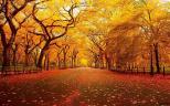 An Autumn Meditation Of Gratitude