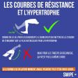 Les courbes de résistance et l'hypertrophie