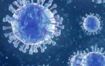 My pandemic story