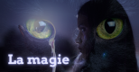 Magie