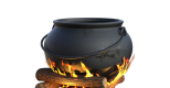 Autour  du  pot