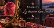 Chapitre V – La lumière dans l’ombre