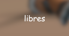 prev