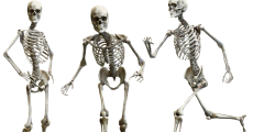 prev