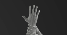 prev