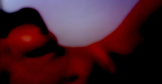 prev