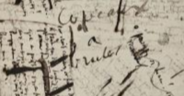 C12 - (circa 1876)