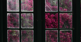 Du verre et de la vie
