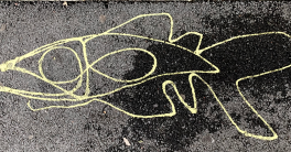Poisson