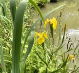 Le jardin du 24 Mai