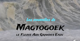 Les nouvelles de Magtogoek #20
