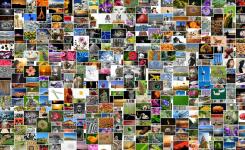 Projet 365