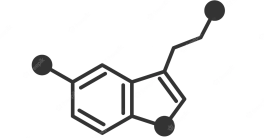 The Chemistry behind our happiness