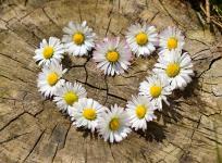 Coeur à coeur