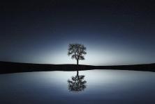 Le lac de mon miroir