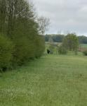 Large sorcière ou vieux vagabond
