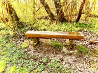 Contemplation sur le banc
