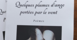 "Quelques plumes d'ange portées par le vent"