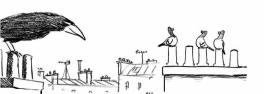 La rentrée des pigeons