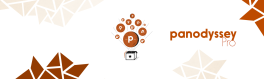Panodyssey Pro: le basi