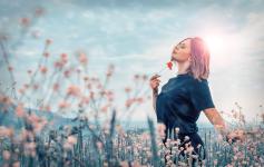 Il est où le bonheur, Il est où ?