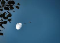 Sur ma lune