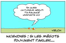 Mégots et fumeur abruti