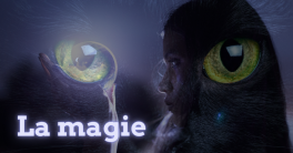 Magie