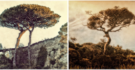 Naturaleza...