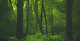 Biopesticides