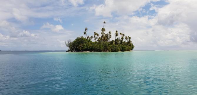 Sur le Lagon