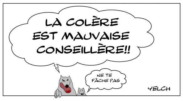 Ne nous fâchons pas...
