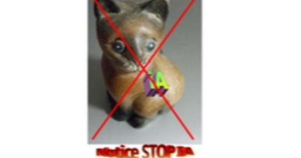 Application et promotion de la NOTICE STOP IA