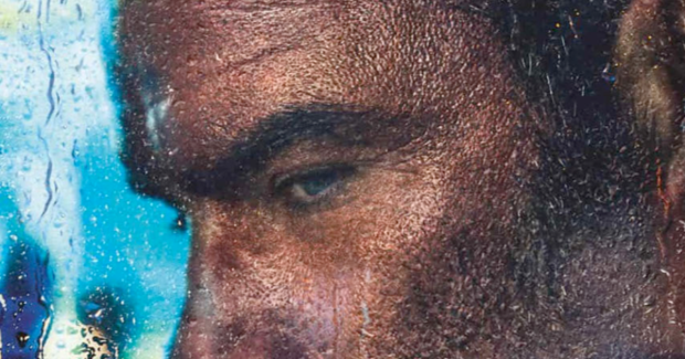 Ray Donovan - Saison 7