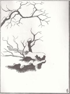 La neige