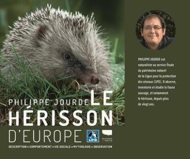 Le hérisson d'Europe