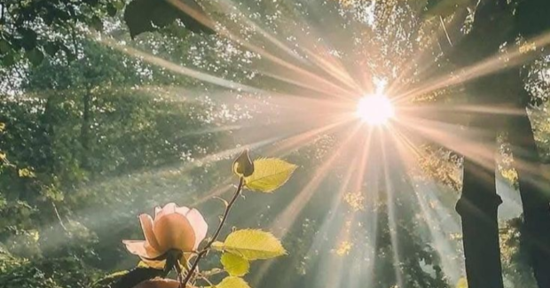 Sois heureux...