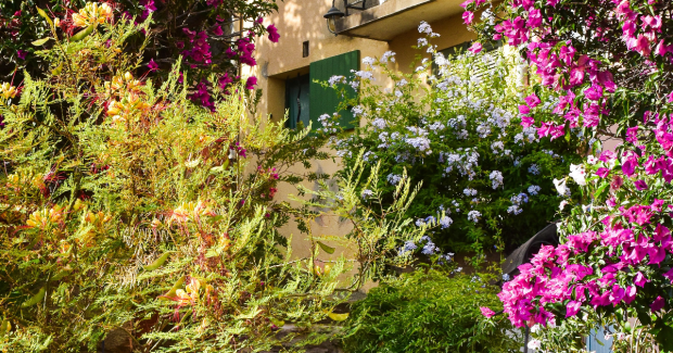 À l’Ombre des Mots (10)