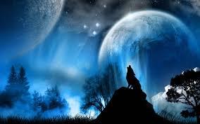 Chansons du Loup