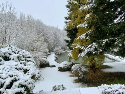 Saisons