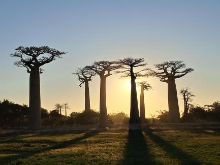 En Excursion à Madagascar