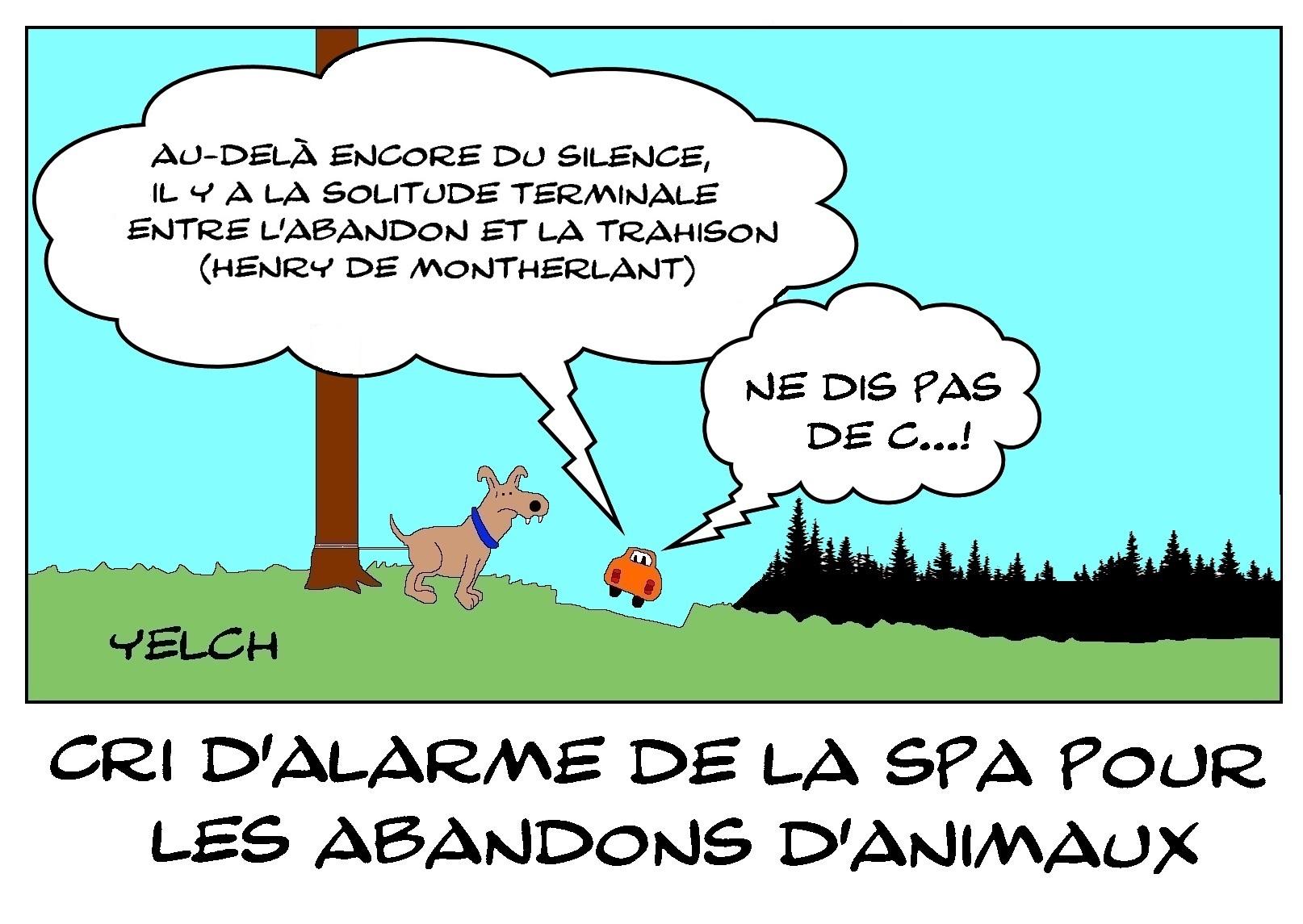 Abandons d'animaux