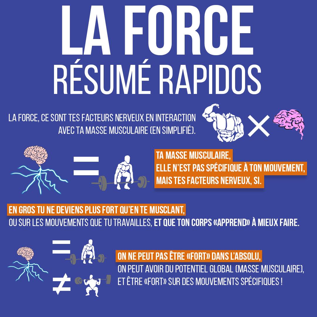 La force : résumé rapidos
